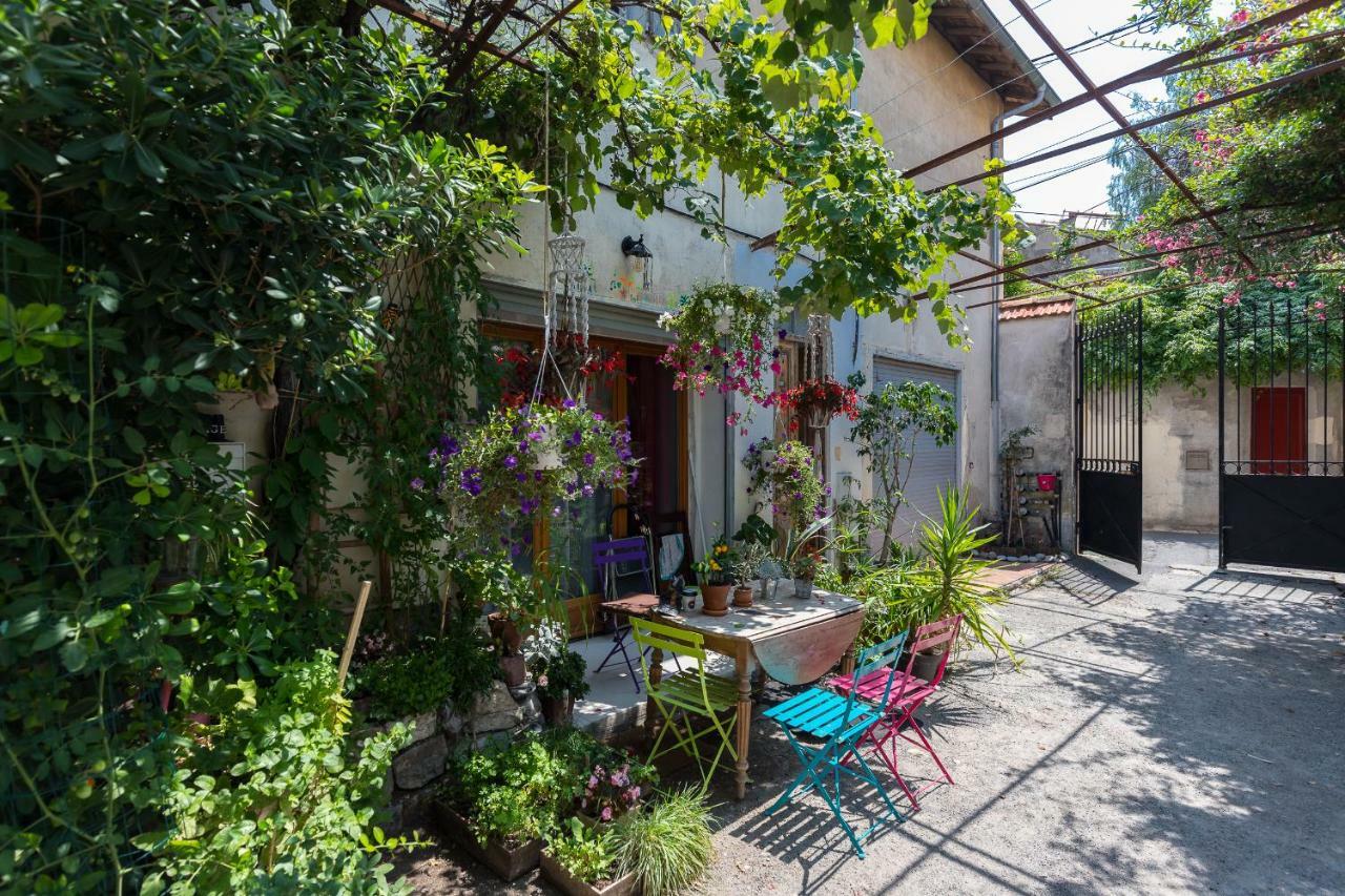 Migrainier Côté Cour Appartement